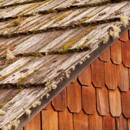 Cedar Roofing